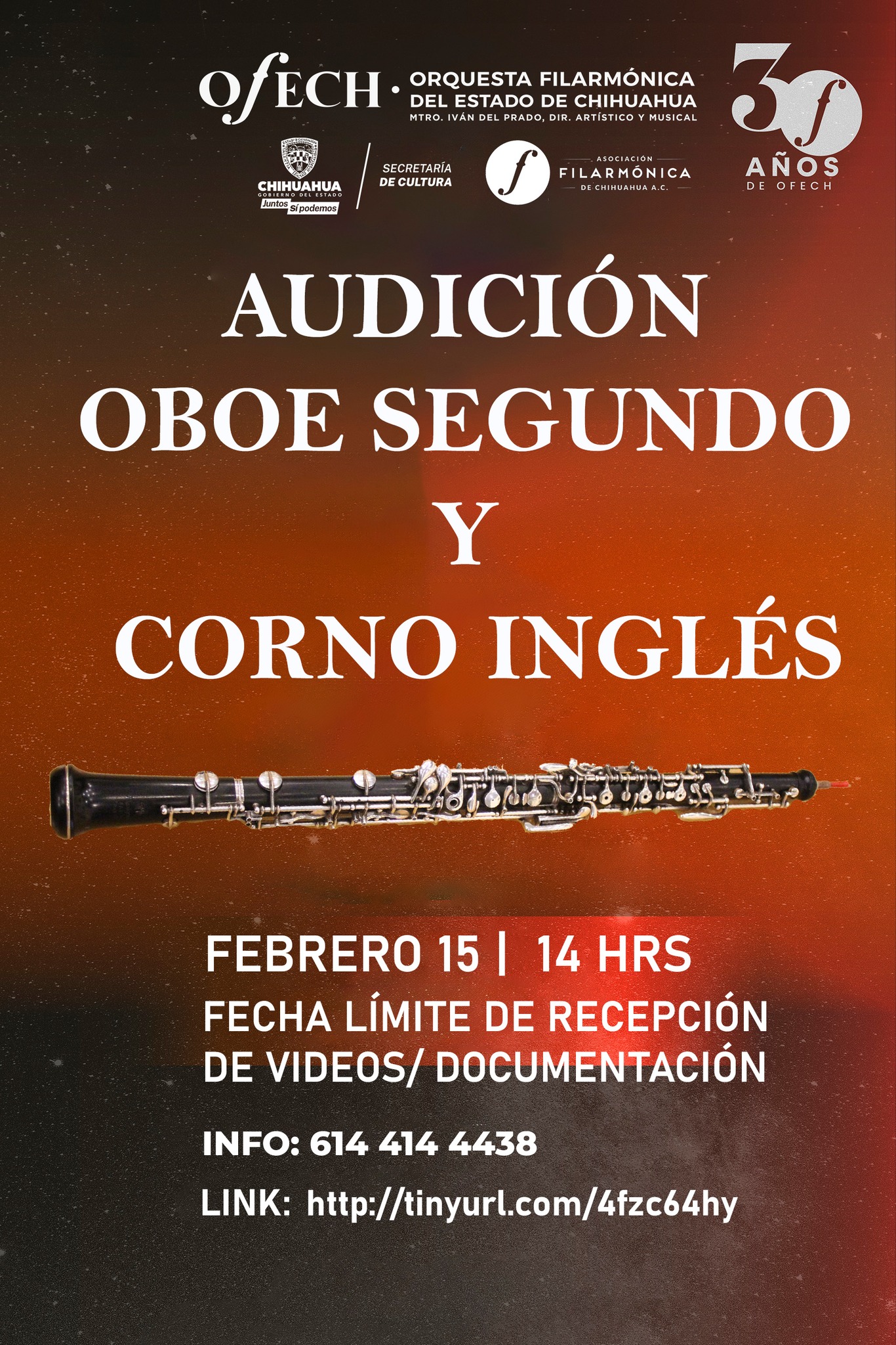 Audición de Oboe Segundo y Corno Ingles